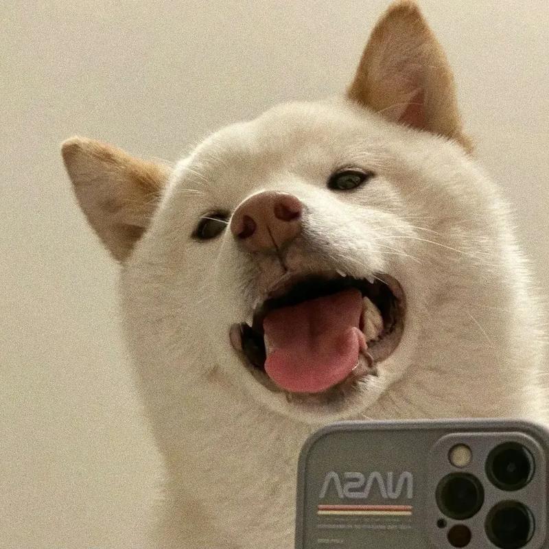 小陈